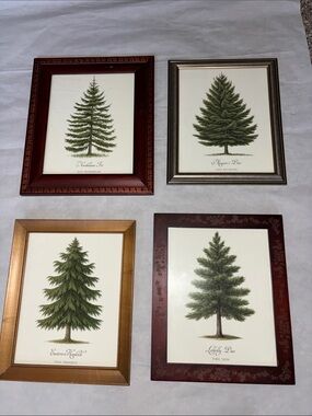 Vintage reproduction Botanical Pine Tree Art Prints 8x10 Set of 4 framed